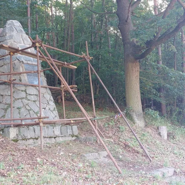 20230920_084707.jpg