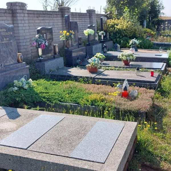 20220728_091726.jpg
