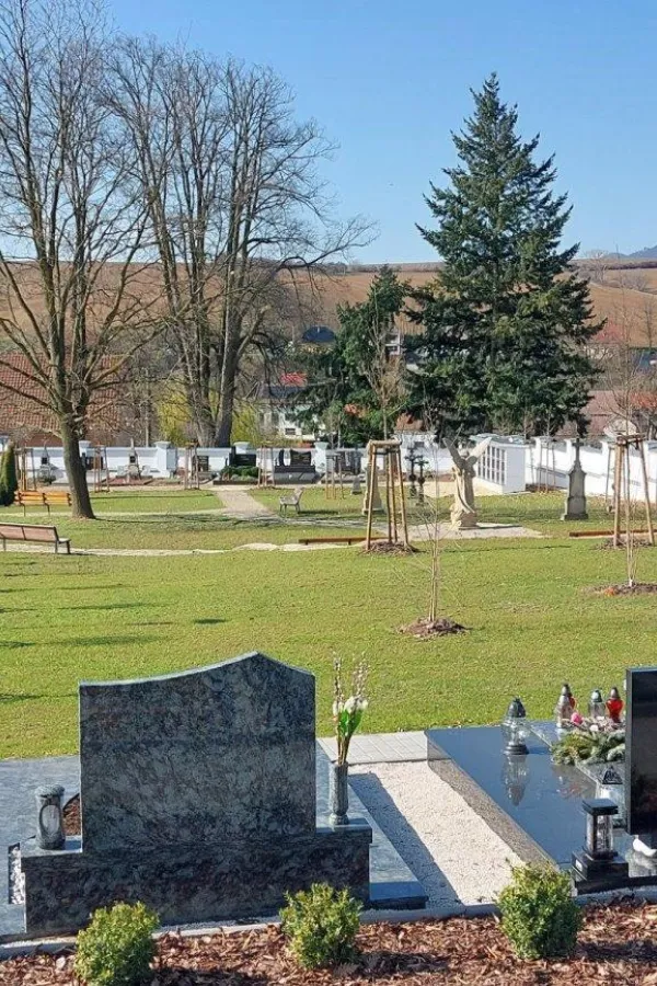 20240304_104425.jpg