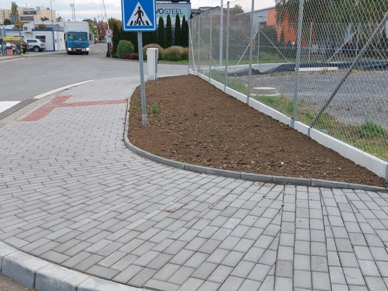 20221004_075100.jpg